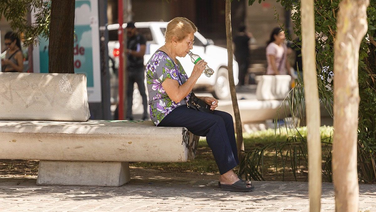 Mendoza se prepara para otra ola de calor extremo.