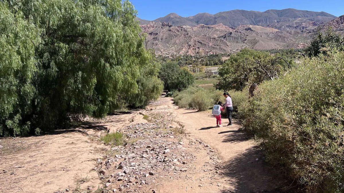 Nicole es una nena de 6 años que tiene parálisis cerebral, que vive en Jujuy, y tiene que hacer grandes sacrificios para ir a a escuela.