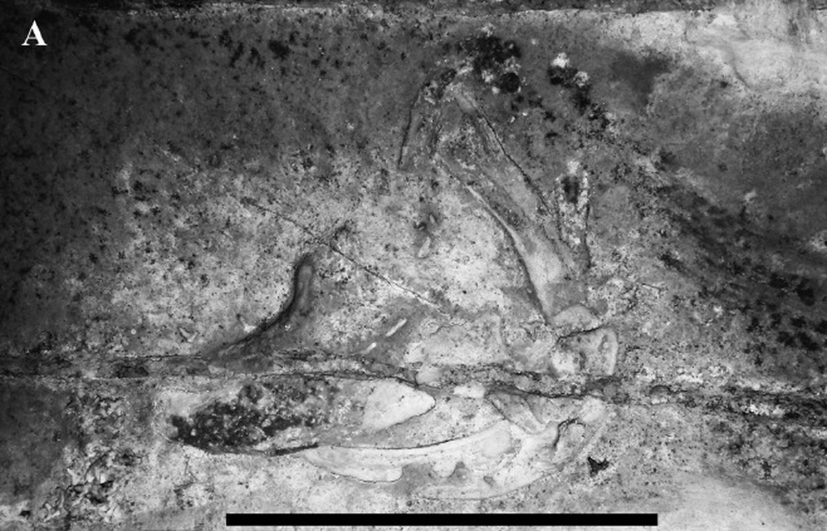 Travel.withcutie xxx pretty girl with plenty of passion and