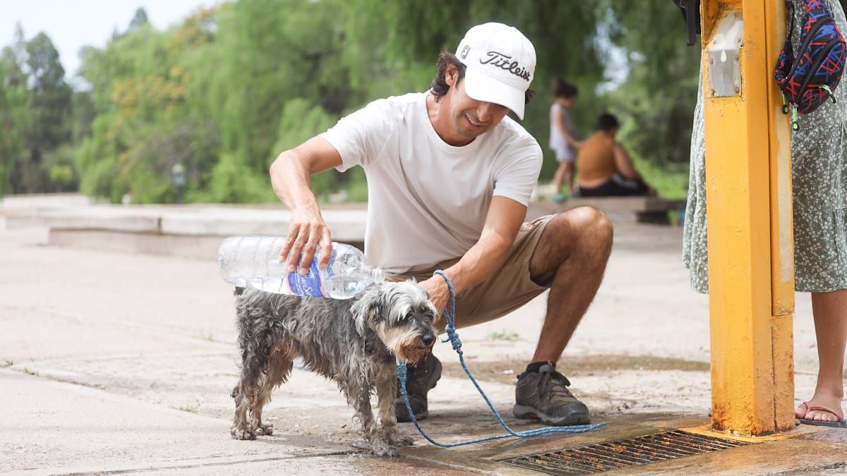 La onda de calor extrema sería histórica en su duración y en la persistencia de las temperaturas tan altas.