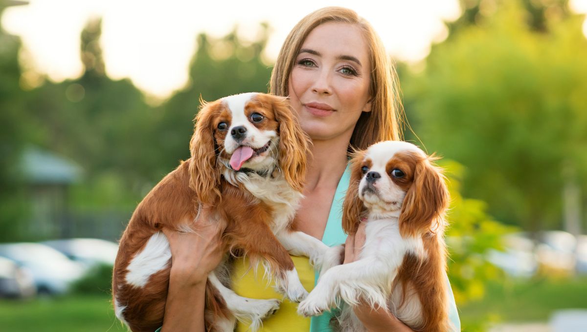 ¿Cómo tramitar el RUAC y registrar a tu animal de compañía en México?