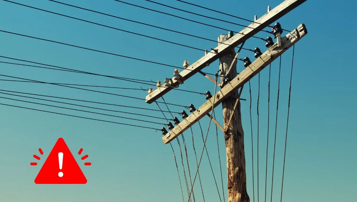 FUENTE CANVA FUENTE CANVA