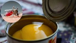 Con latas de durazno, puedes crear un repelente casero contra los mosquitos. Con latas de durazno, puedes crear un repelente casero contra los mosquitos.