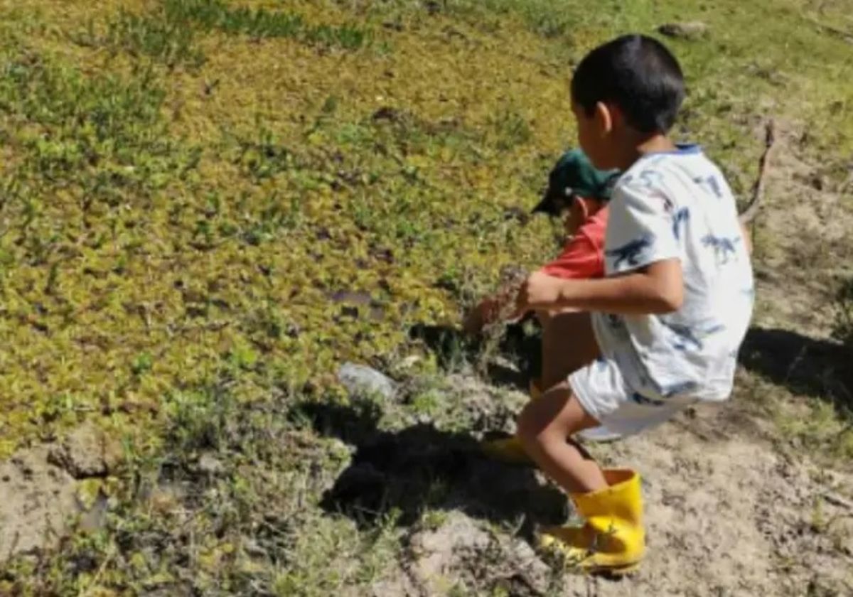 Las tortugas fueron encontradas en medio del barro por niños que se encontraban de vacaciones, en una laguna seca situada en cercanías de Goya