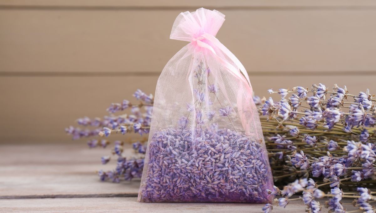 La lavanda tiene uno de los mejores perfumes para aromatizar la casa. La lavanda tiene uno de los mejores perfumes para aromatizar la casa.
