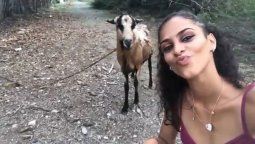 se saco una selfie y una cabra le dio una sorpresa inesperada