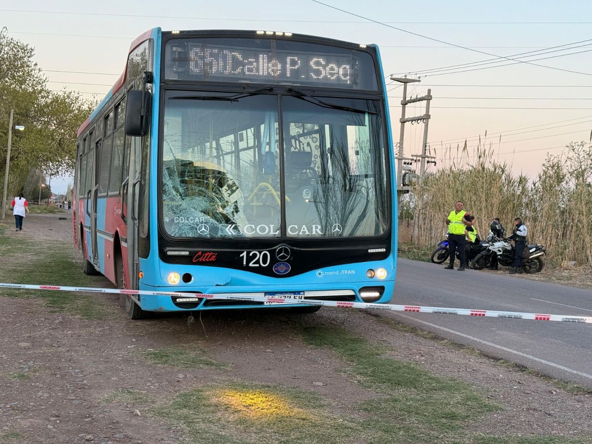 El colectivo que atropelló a las dos niñas es de la línea 600.