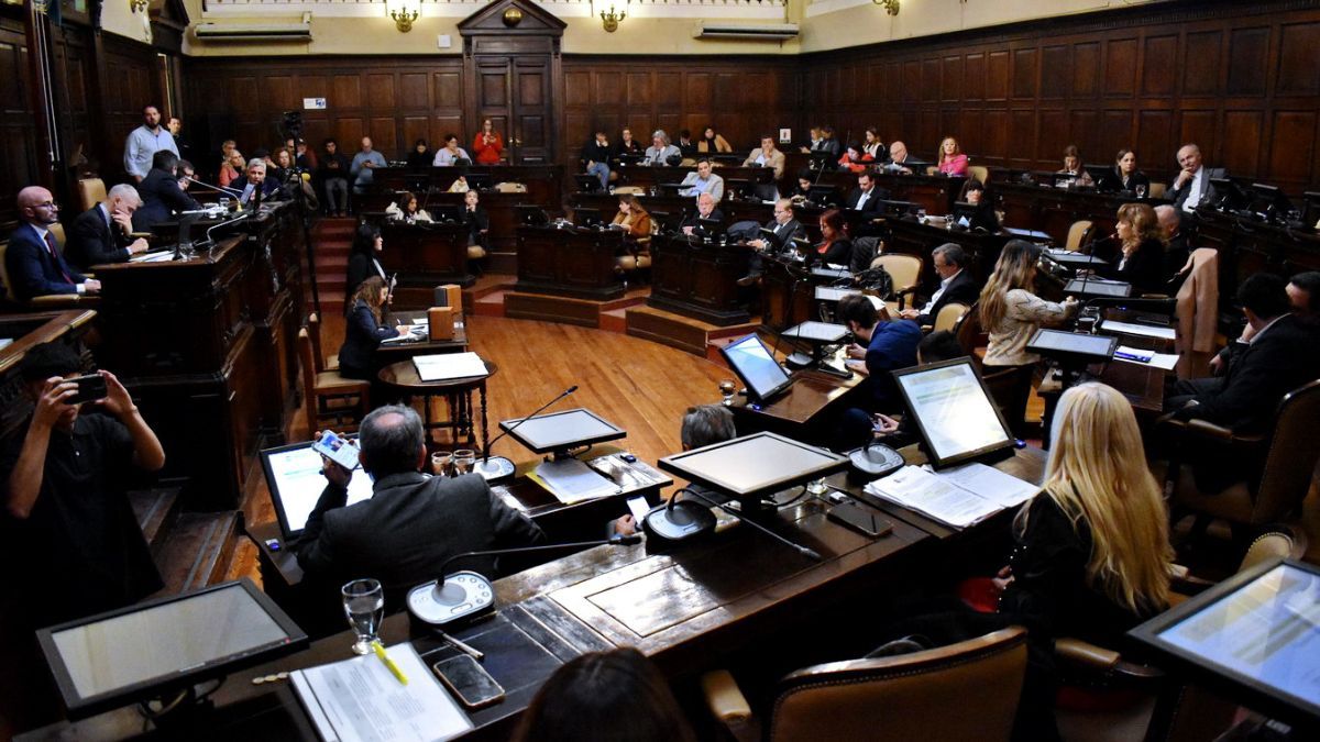 La Cámara de Diputados dio media sanción este miércoles a la suspensión de las PASO en Mendoza.