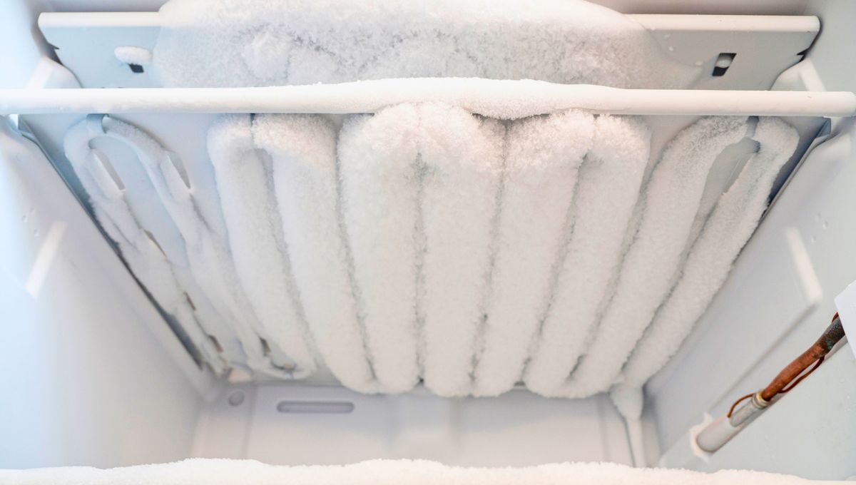 Puedes filtrar el agua para evitar hielos opacos y blancos. Puedes filtrar el agua para evitar hielos opacos y blancos. 