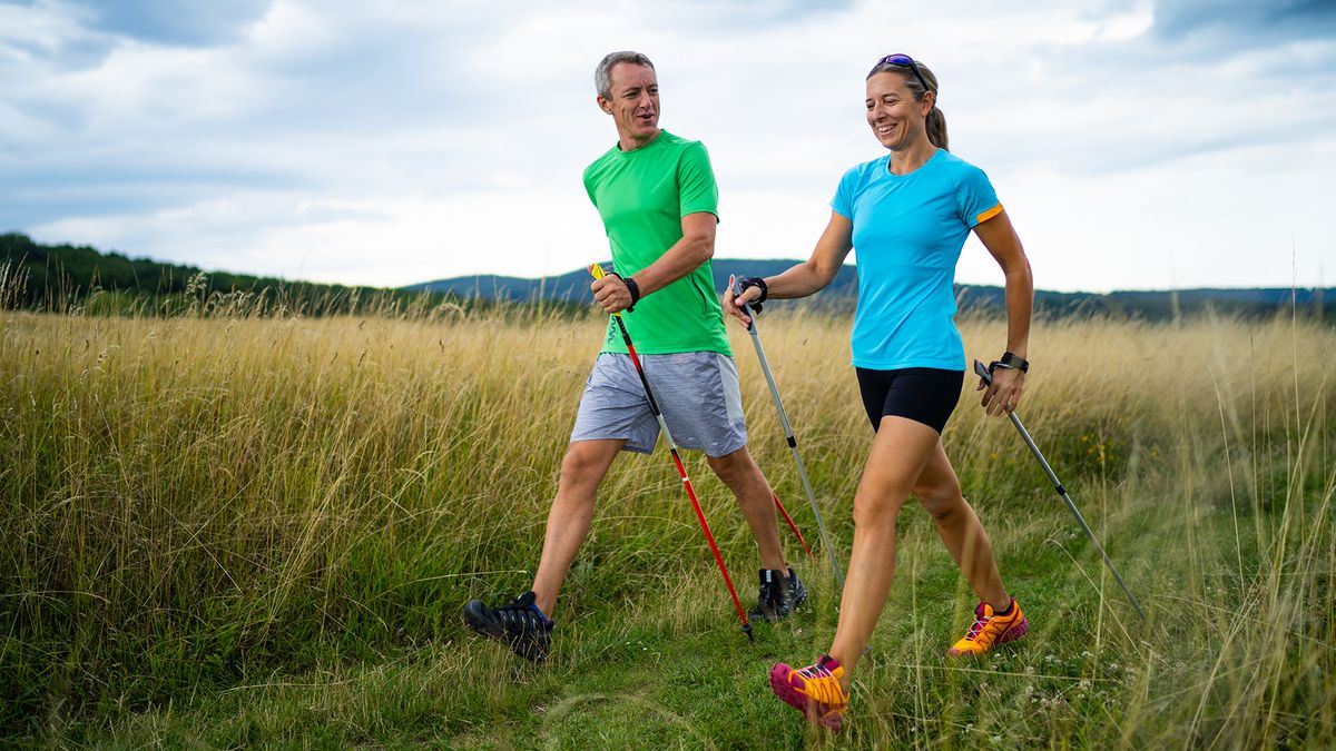 En la actualidad se es tendencia en redes sociales el reto de la caminata de 10.000 pasos. En la actualidad se es tendencia en redes sociales el reto de la caminata de 10.000 pasos.