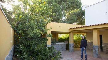 Podaron un árbol que dañaba su casa y el Ayuntamiento les impuso una multa de 3.855 euros