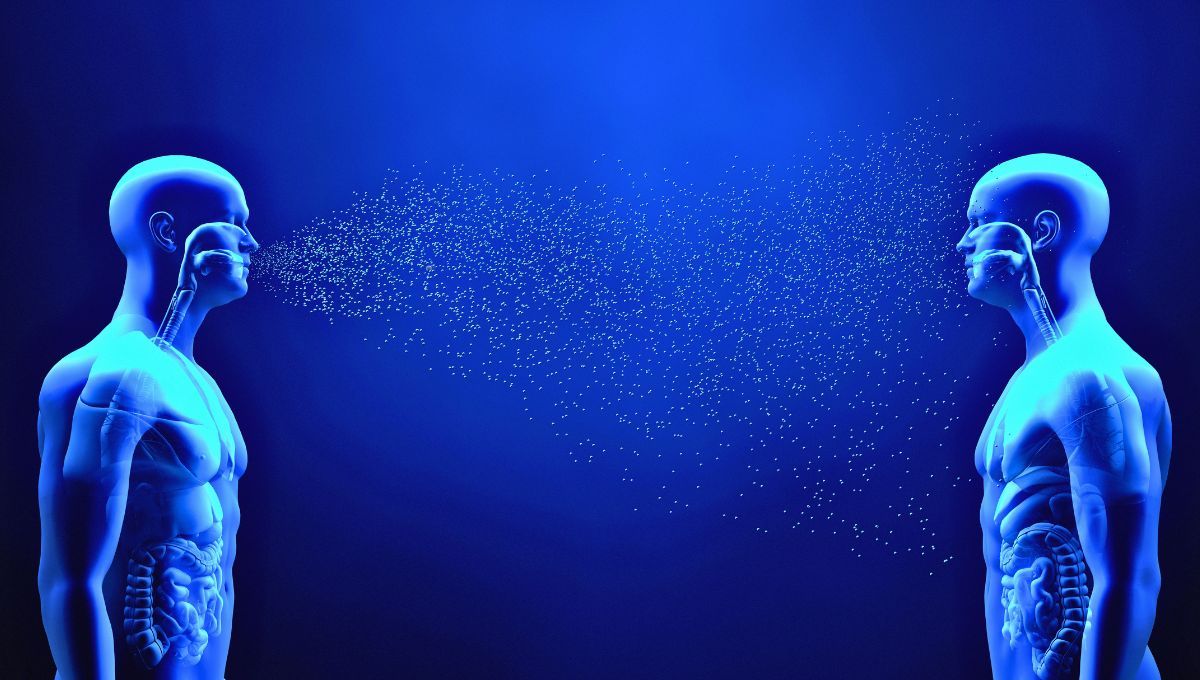 La respuesta del acertijo se encuentra en esta imagen. La respuesta del acertijo se encuentra en esta imagen.