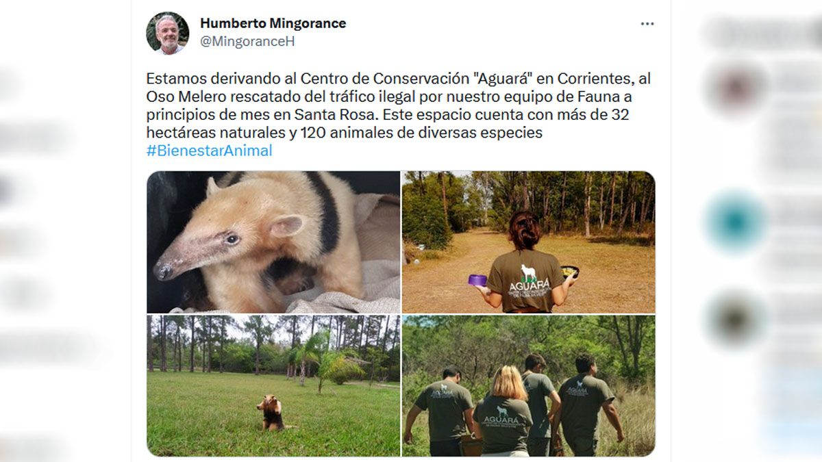 El secretario de Ambiente hizo el anuncio en sus redes sociales.