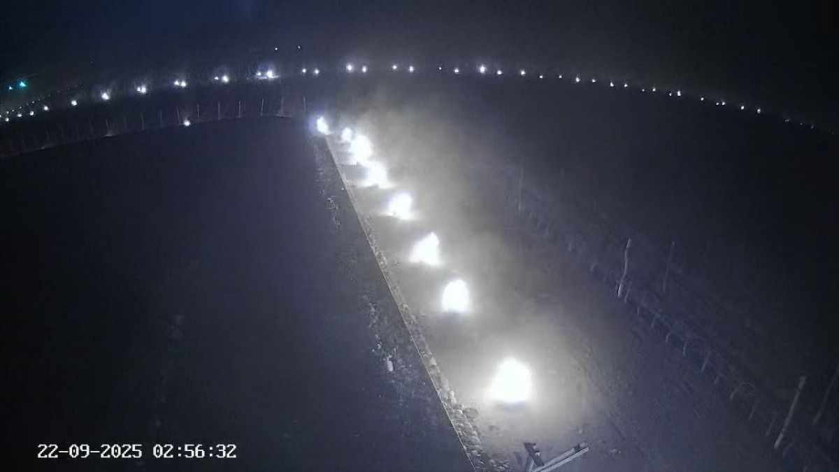 Los productores hacen lo que pueden para protegerse del frío durante las madrugadas. Los productores hacen lo que pueden para protegerse del frío durante las madrugadas.