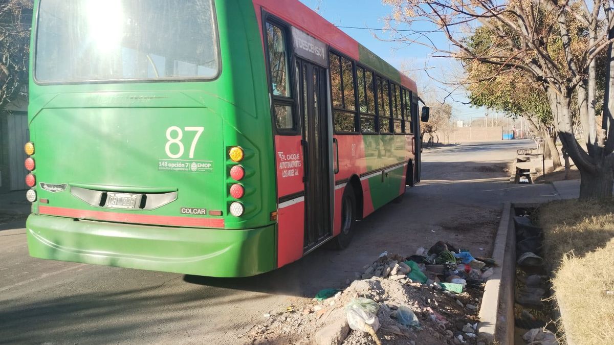 Los choferes que circulan por el barrio San Antonio aseguraron que todos los días los chicos se cuelgan de las puertas. Los choferes que circulan por el barrio San Antonio aseguraron que todos los días los chicos se cuelgan de las puertas.