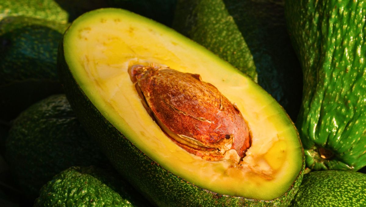 Para que la palta no se oxide, hay que guardarla cubierta en la heladera. Para que la palta no se oxide, hay que guardarla cubierta en la heladera. 