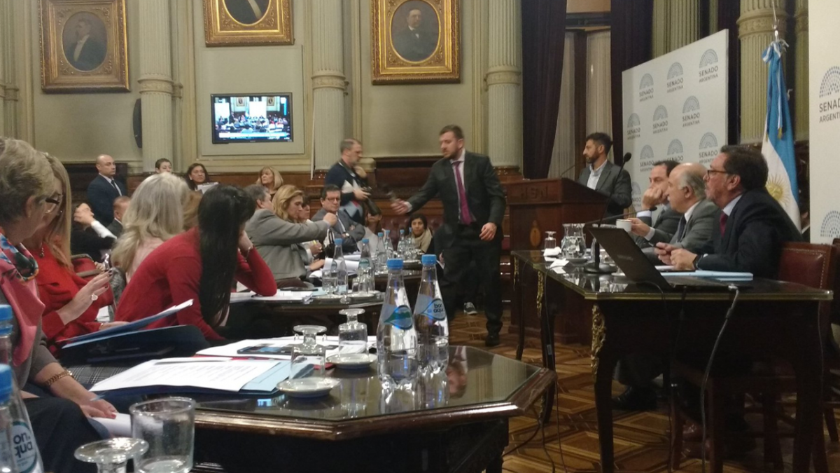 Seguí en vivo el debate por el aborto en el Senado de la Nación