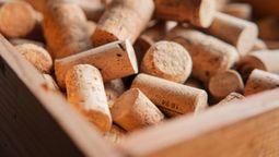 Así puedes reciclar corchos de vino.