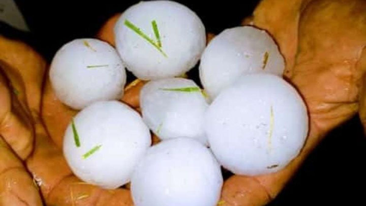 Los productores "cosecharon" las piedras de la tormenta de la noche del mi&eacute;rcoles, que dej&oacute; da&ntilde;os incalculables.