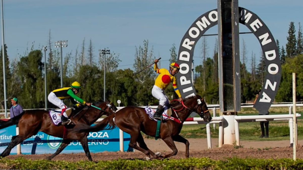 Facundo Campos ya festeja al llegar al disco para adjudicarse el primer gran clásico del año del turf mendocino. Un cuerpo más atrás llega Macklin, con la monta de Cristian López. Facundo Campos ya festeja al llegar al disco para adjudicarse el primer gran clásico del año del turf mendocino. Un cuerpo más atrás llega Macklin, con la monta de Cristian López.