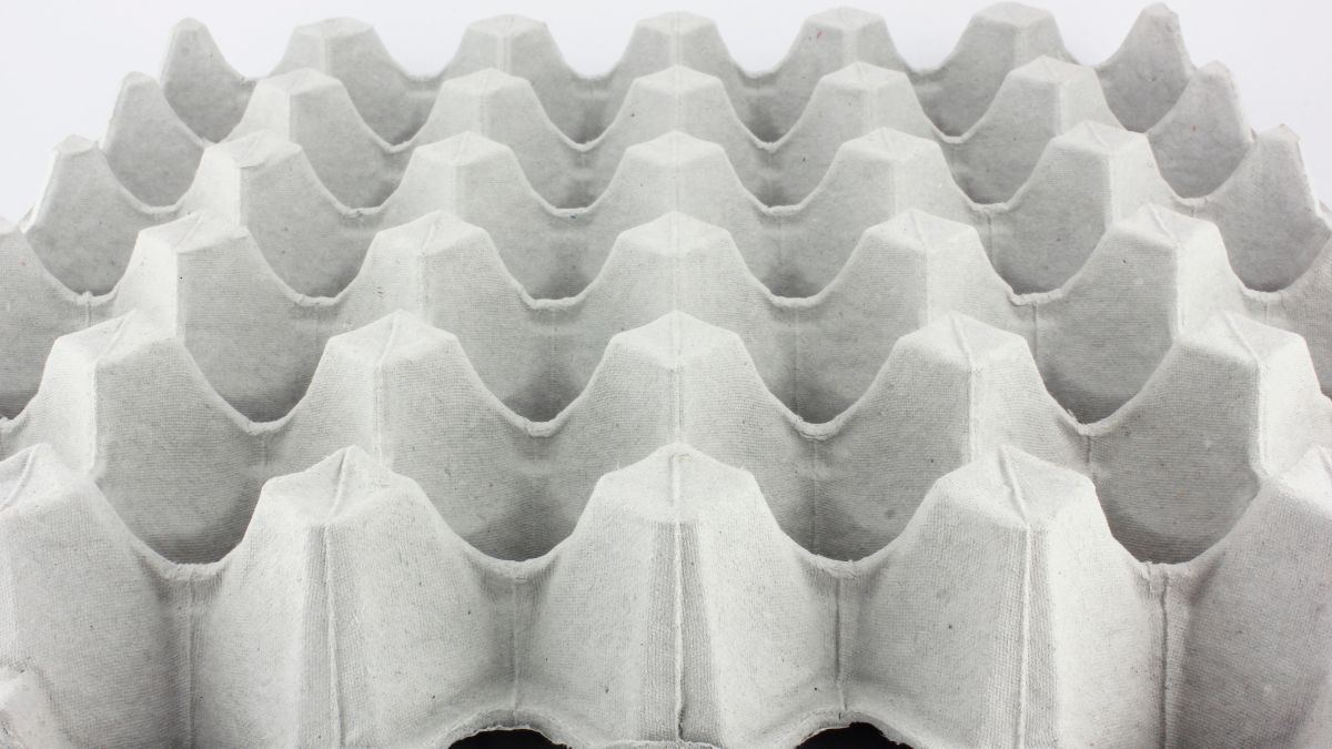 Reutiliza el cartón del maple de huevos con esta hermosa propuesta de reciclaje DIY para el hogar. Reutiliza el cartón del maple de huevos con esta hermosa propuesta de reciclaje DIY para el hogar.