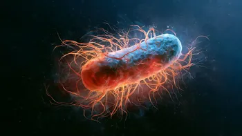 Científicos consiguen bacterias que pueden extender la vida casi un 50 por ciento, pero en gusanos