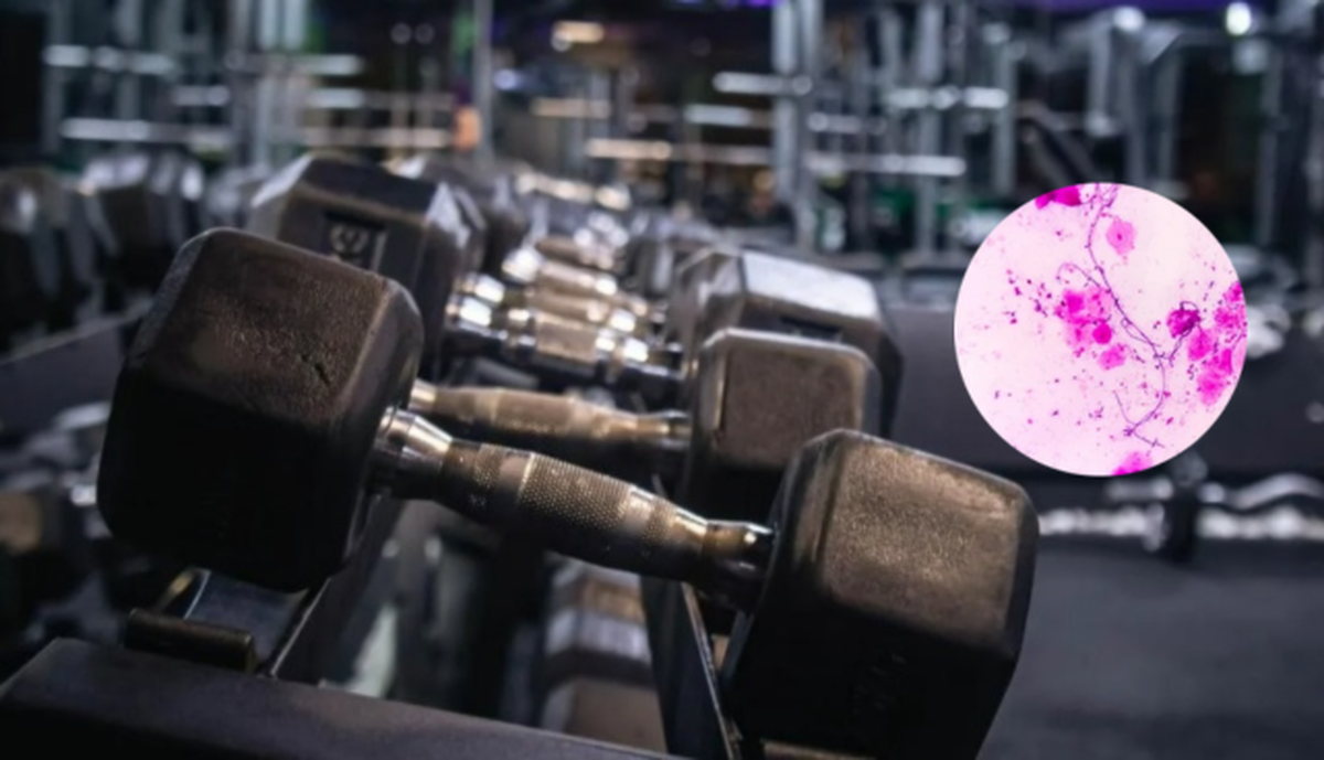 Las bacterias están presentes en cada instrumento que utilizamos en un gimnasio.