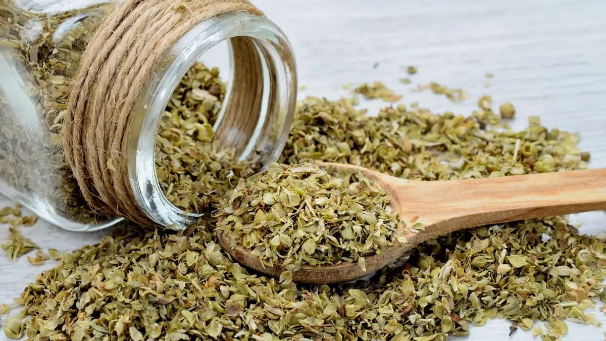 Colocar orégano donde guardas tus ahorros: por qué recomiendan hacerlo y para qué sirve Colocar orégano donde guardas tus ahorros: por qué recomiendan hacerlo y para qué sirve