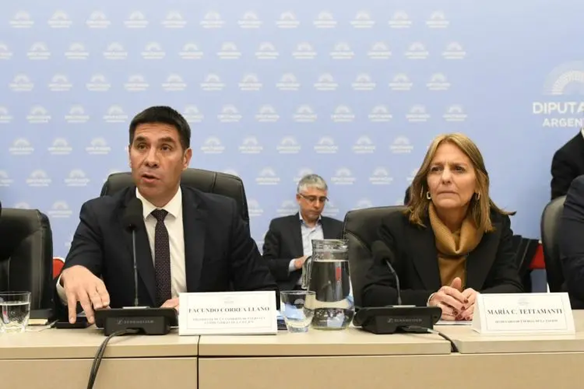 Facundo Correa Llano, presidente de la Comisión de Energía de la Cámara de Diputados, junto a la secretaria de Energía de la Nación María Tettamanti. Facundo Correa Llano, presidente de la Comisión de Energía de la Cámara de Diputados, junto a la secretaria de Energía de la Nación María Tettamanti.