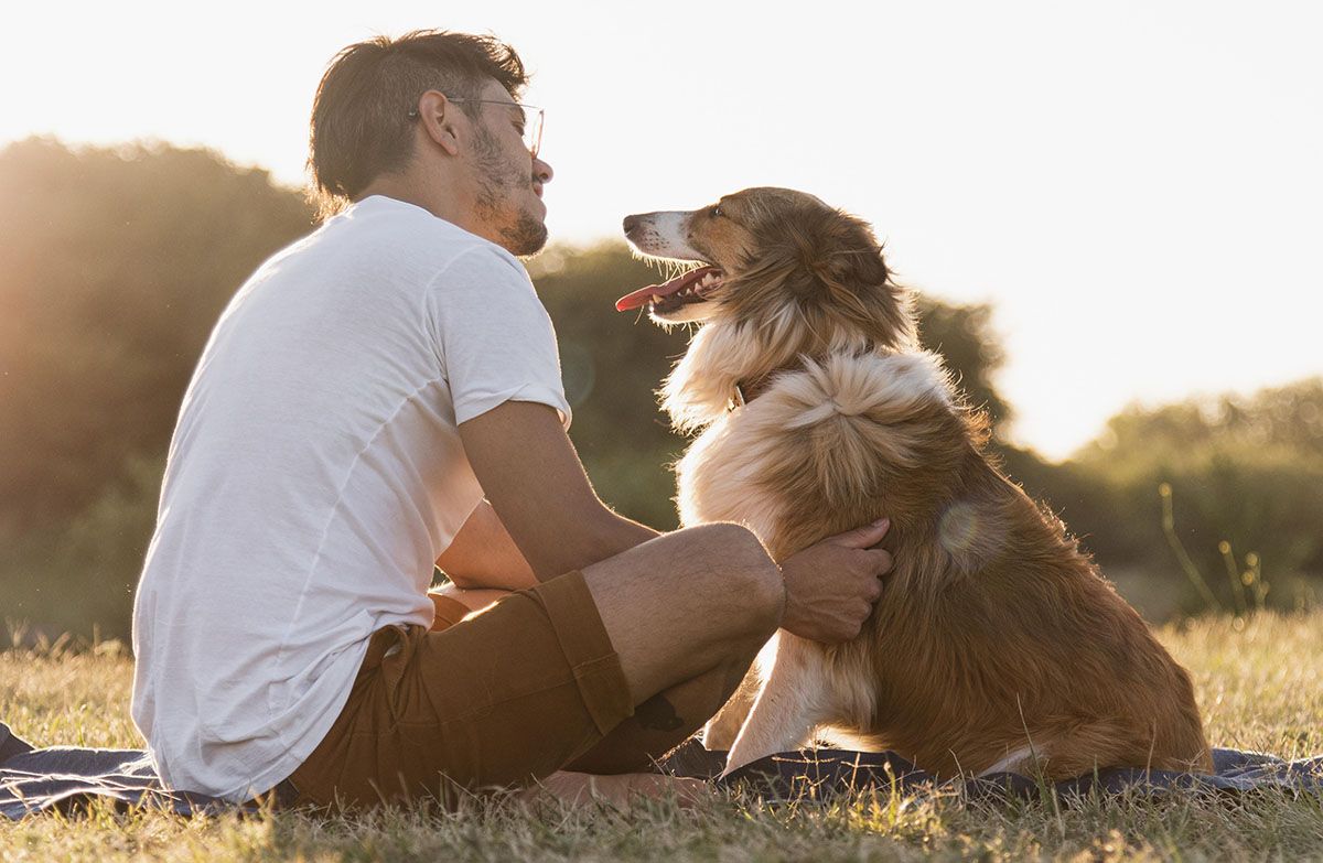 No es difìcil saber si un perro es feliz. No es difìcil saber si un perro es feliz.