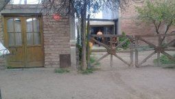 Atacaron a piedrazos la casa de Julieta Silva