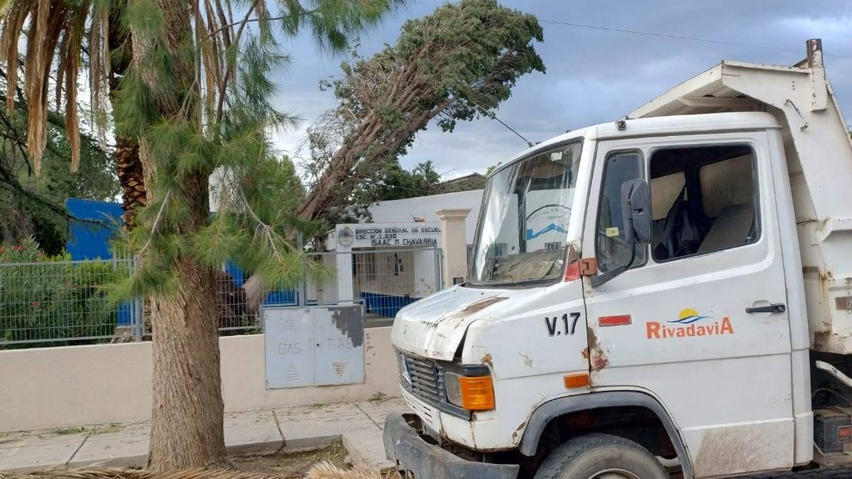 Cayó un árbol sobre la escuela Echevarría de Medrano, en Rivadavia, y suspendieron las clases.
