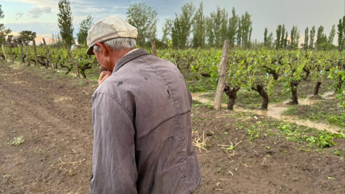 El granizo ha hecho estragos tanto en San Rafael como en el Valle de Uco y el Este provincial. Aunque en el Sur ahora tiene los aviones de la lucha antigranizo.