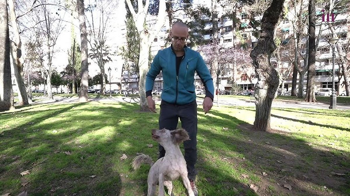 Para este y cualquier truco de adiestramiento, la paciencia es fundamental.&nbsp;