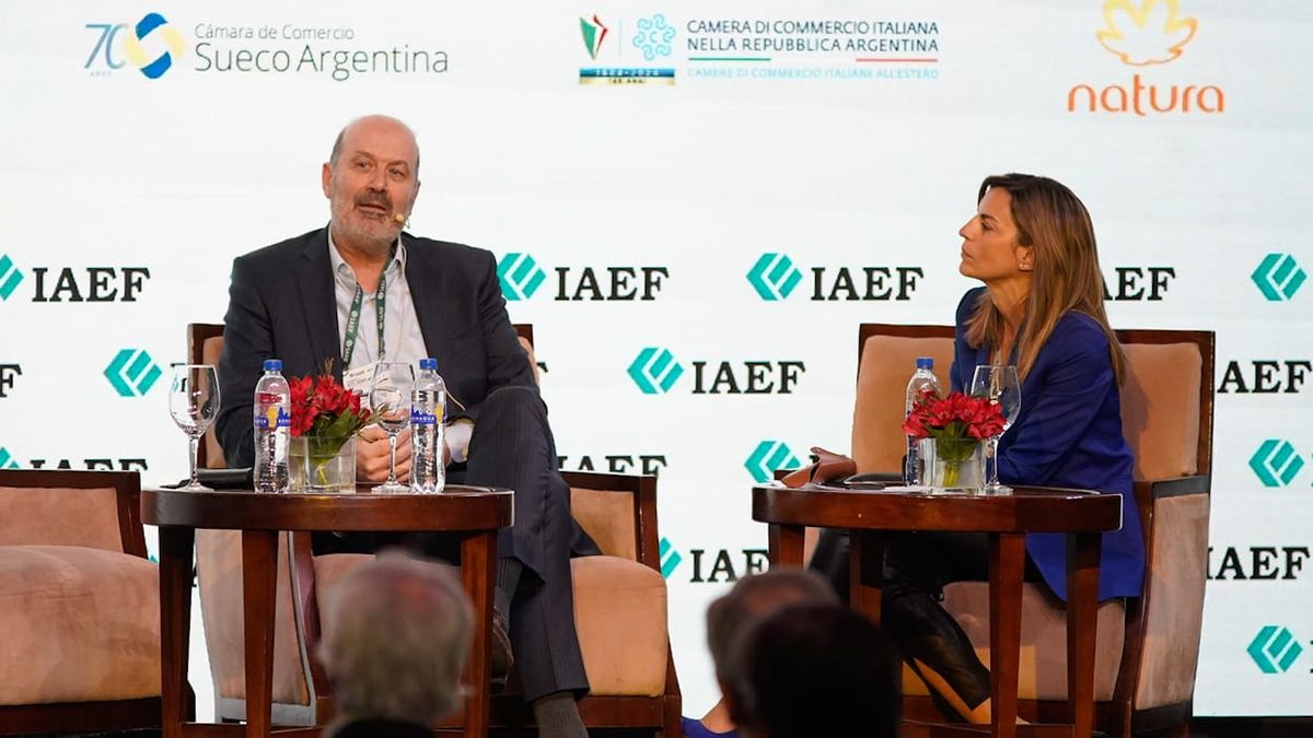 El ministro de Desregulación y Transformación del Estado, Federico Sturzenegger, durante su exposición en la convención del IAEF. El ministro de Desregulación y Transformación del Estado, Federico Sturzenegger, durante su exposición en la convención del IAEF.