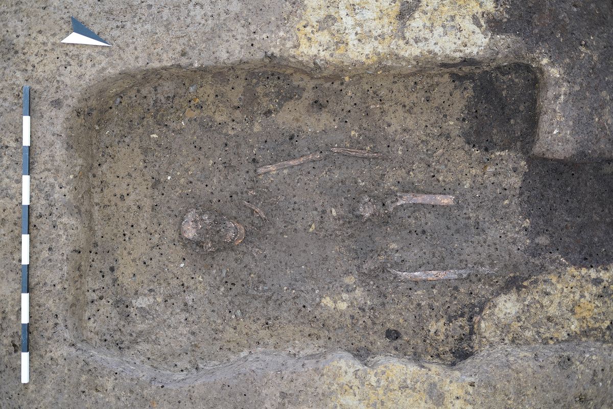 La ciencia podrá hacer estudios muy detallados. La ciencia podrá hacer estudios muy detallados.