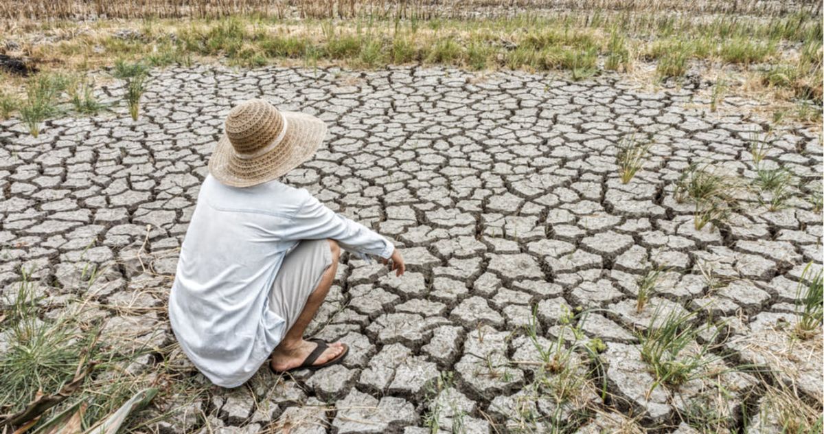 La sequía característica de Mendoza es uno de los factores que aumenta la posibilidad de sufrir grandes incendios. La sequía característica de Mendoza es uno de los factores que aumenta la posibilidad de sufrir grandes incendios.