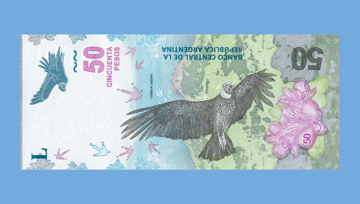 No es el de $50: cuál es el billete de menor valor en Argentina