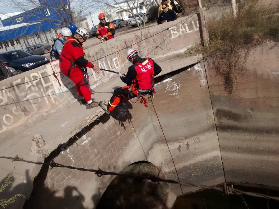 Operativo de la brigada USAR para rescatar a tres perros que habrían tirado al canal marginal