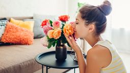 Con ingredientes sencillos y económicos, puedes crear este perfume casero.&nbsp;