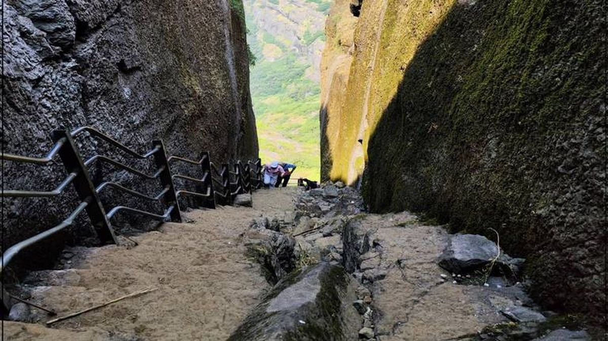 El remoto lugar en el que fue hallada la nueva especie.