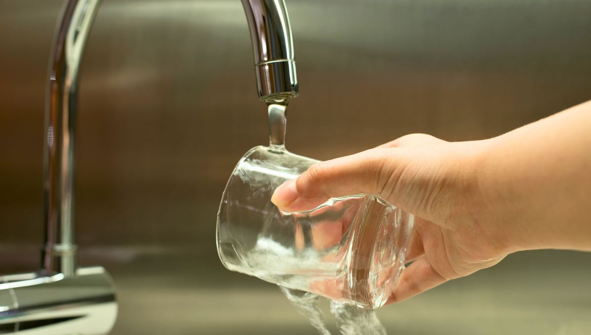 Utiliza un poco de vinagre para neutralizar el mal olor. Utiliza un poco de vinagre para neutralizar el mal olor. 