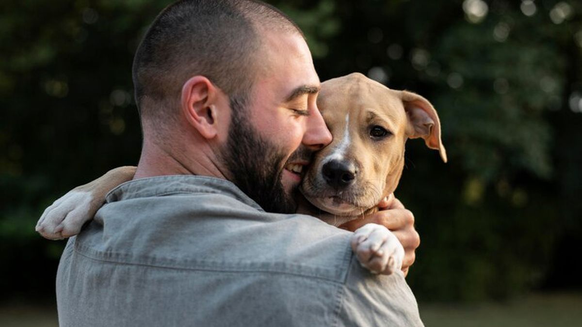 Las conclusiones del estudio realizado por Walsh mostraron que los humanos no saben interpretar claramente el lenguaje corporal de los perros. Las conclusiones del estudio realizado por Walsh mostraron que los humanos no saben interpretar claramente el lenguaje corporal de los perros.