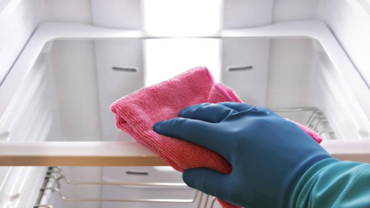 Se recomiendan cambiar el film para evitar la acumulación de bacterias. Se recomiendan cambiar el film para evitar la acumulación de bacterias. 