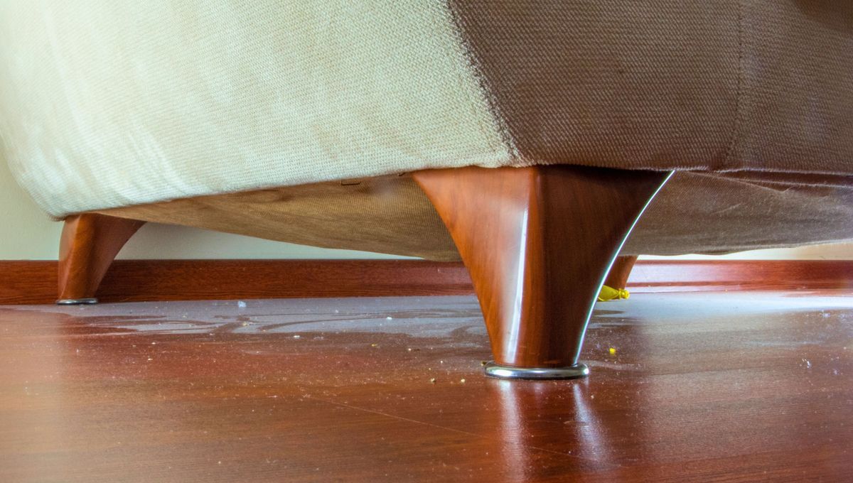Se puede eliminar el polvo de los pisos de la casa teniendo en cuenta algunas cuestiones. Se puede eliminar el polvo de los pisos de la casa teniendo en cuenta algunas cuestiones. 