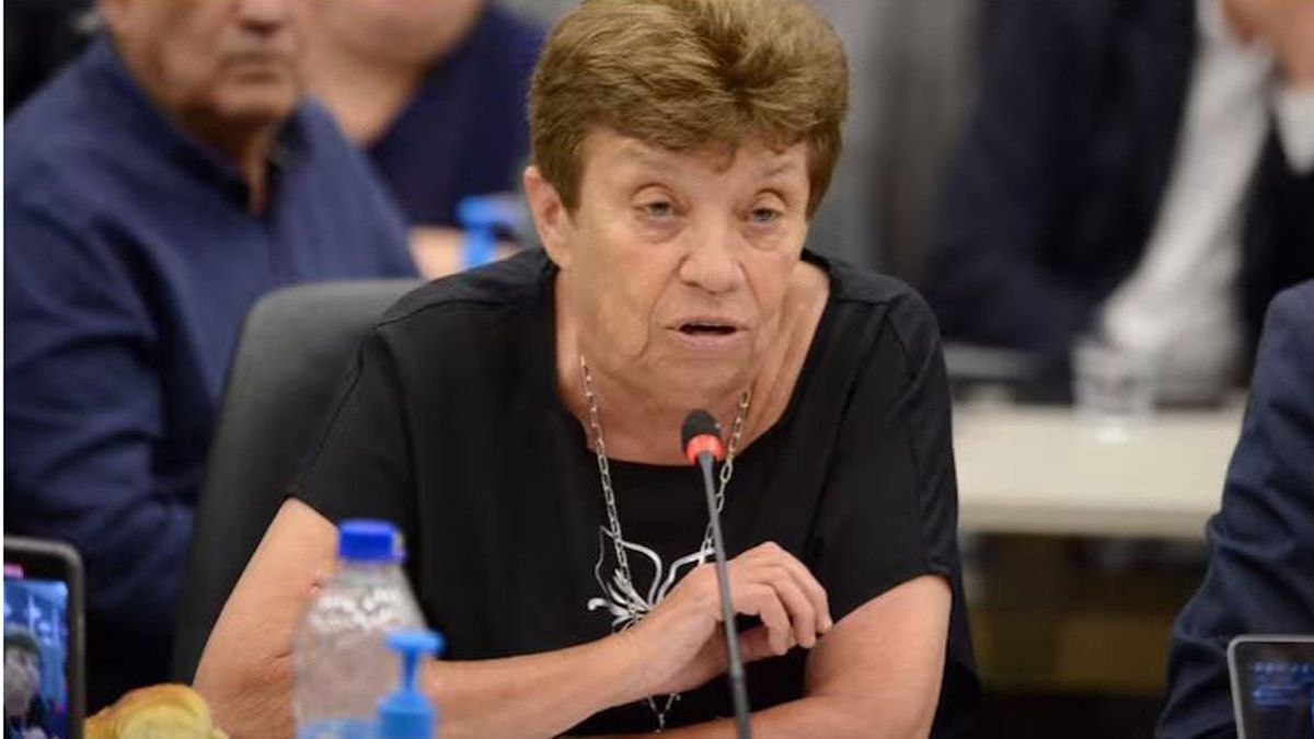 Aída Kemelmaje expuso en el debate en comisiones de la Ley Ómnibus.