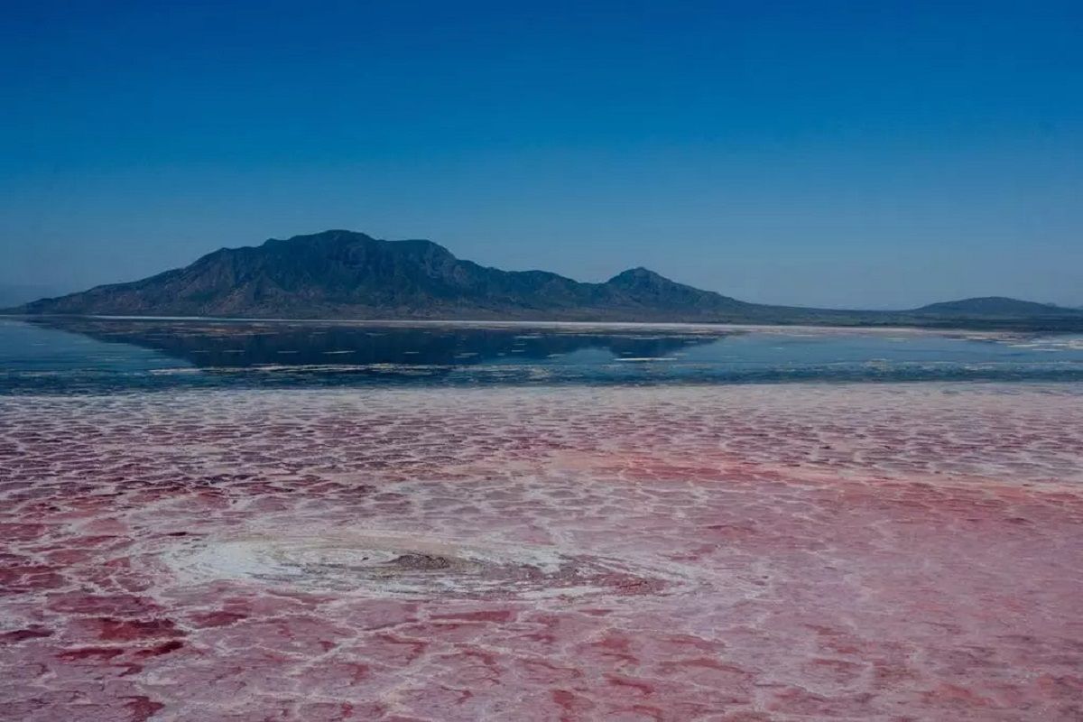 El lago único en el mundo que convierte a los animales en piedra y puede alcanzar los 60º.