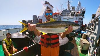 Argentina logra criar en masa un pez más caro y rico que el salmón: la joya de la corona de la acuicultura mundial Argentina logra criar en masa un pez más caro y rico que el salmón: la joya de la corona de la acuicultura mundial