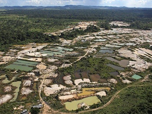 Una nueva fiebre de oro amenaza a los bosques en Sudamérica