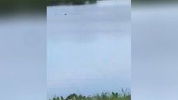 Lo miraron ahogándose